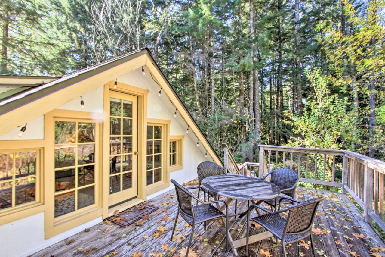 Owls Nest Studio With Hot Tub Hike Nearby! Ashford Exterior photo