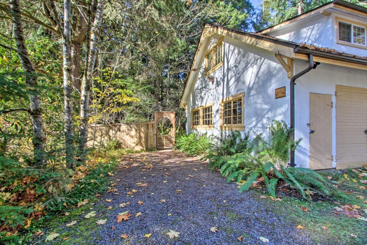 Owls Nest Studio With Hot Tub Hike Nearby! Ashford Exterior photo