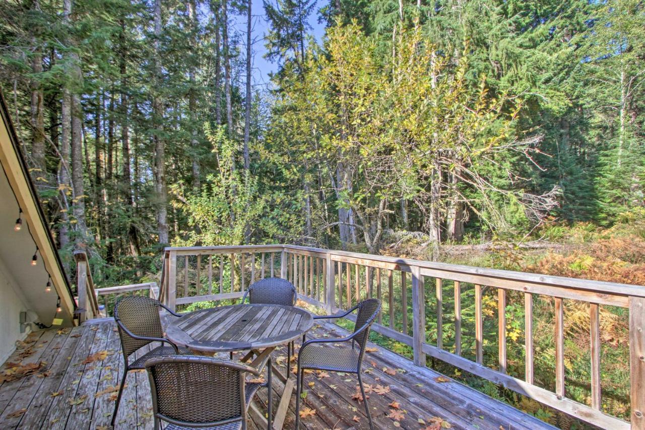 Owls Nest Studio With Hot Tub Hike Nearby! Ashford Exterior photo